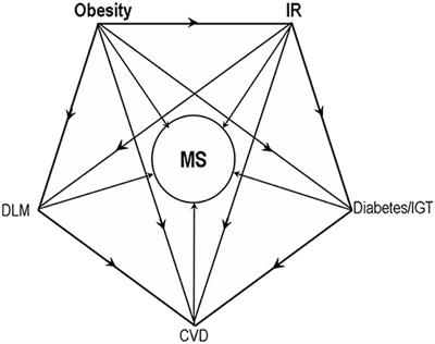 Epigenetic Programming and Fetal Metabolic Programming